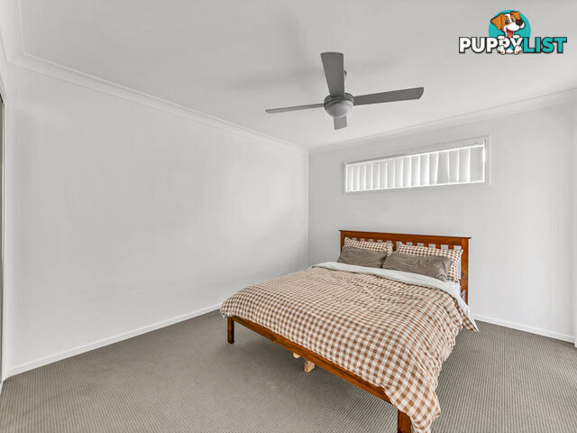 2 6 Tranquillity Circle BRASSALL QLD 4305