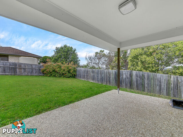 2 6 Tranquillity Circle BRASSALL QLD 4305