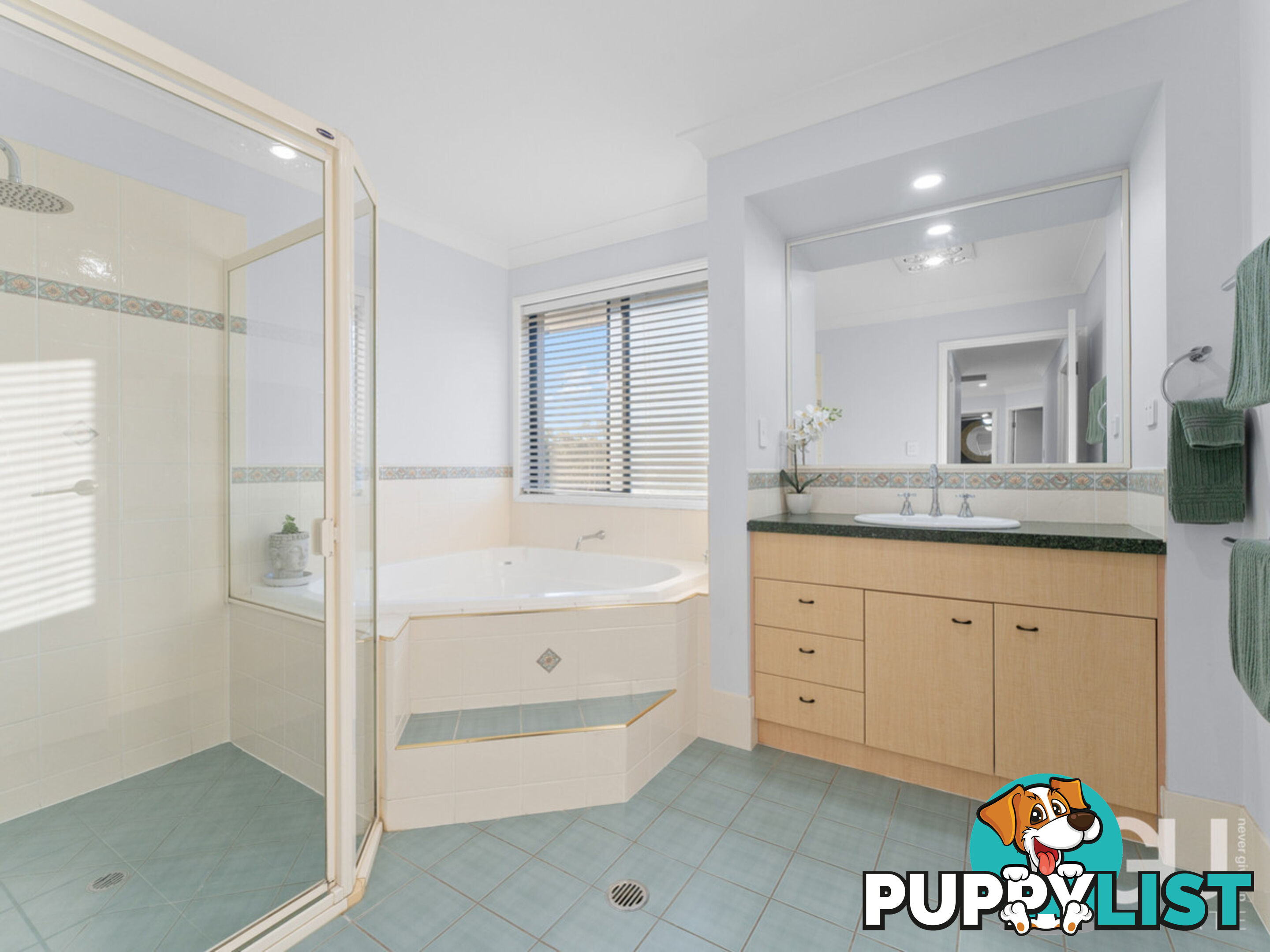 4 Myrtle Crescent Brookwater QLD 4300