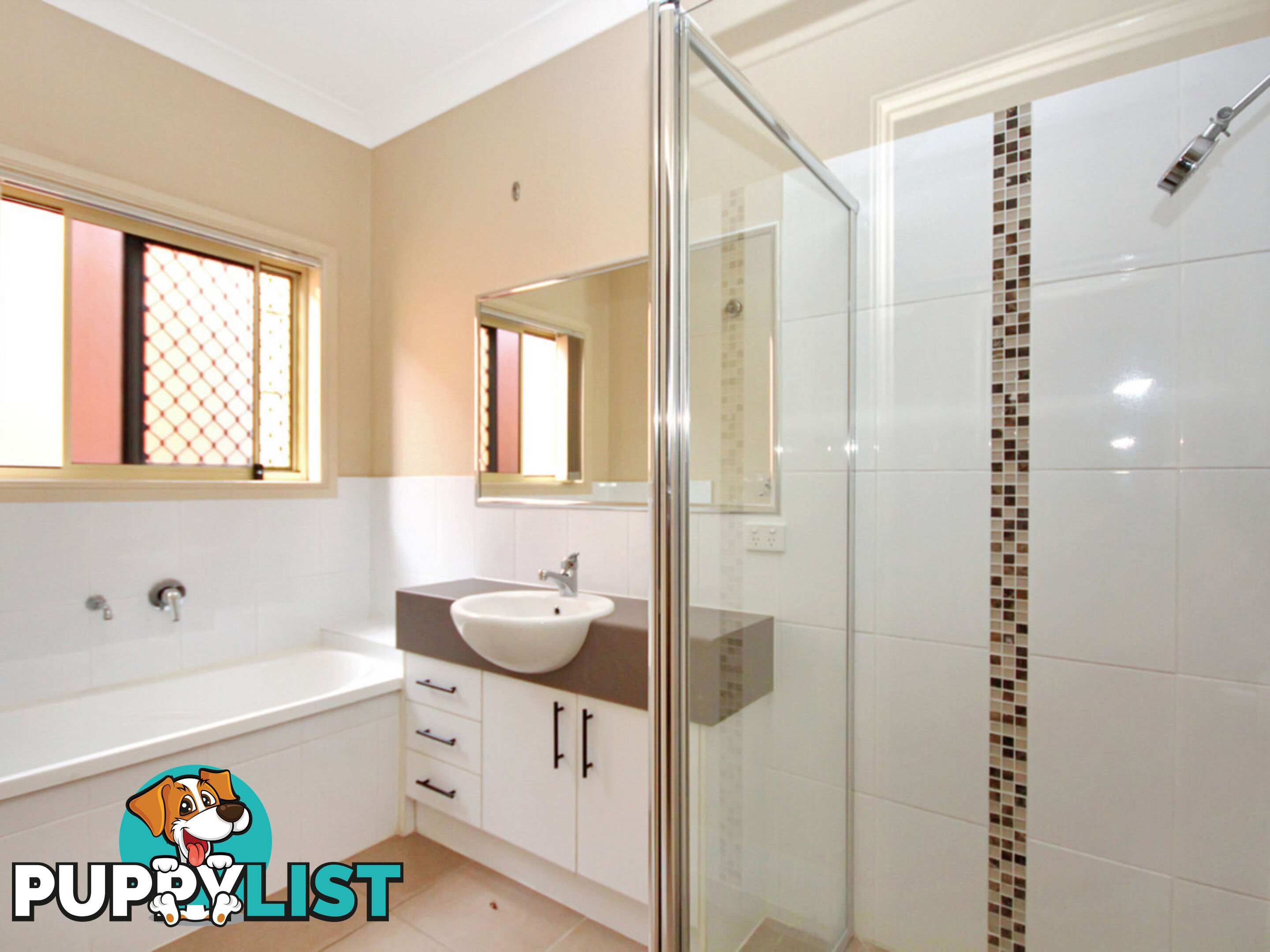 6 Zenith Way Springfield Lakes QLD 4300