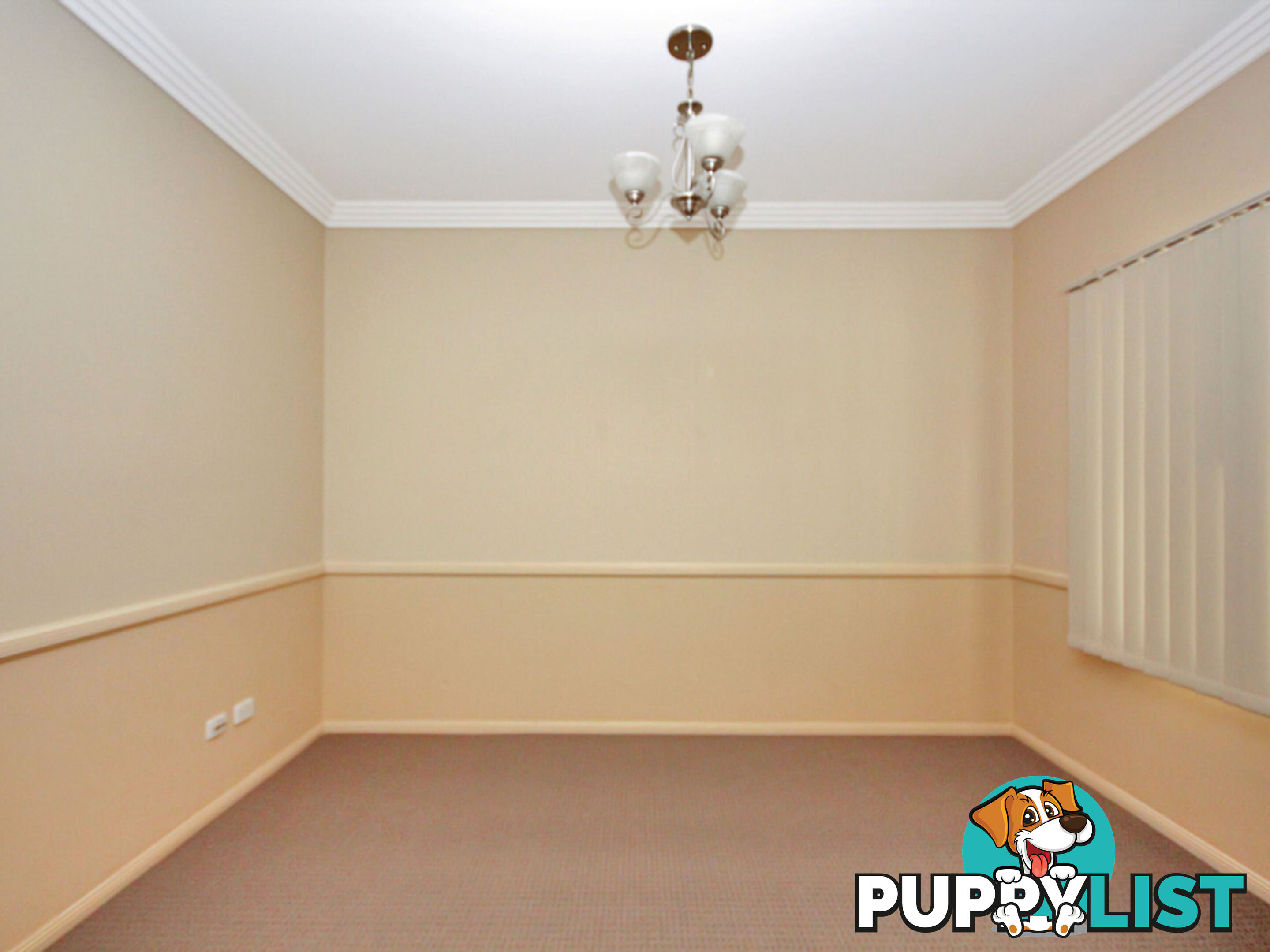 6 Zenith Way Springfield Lakes QLD 4300