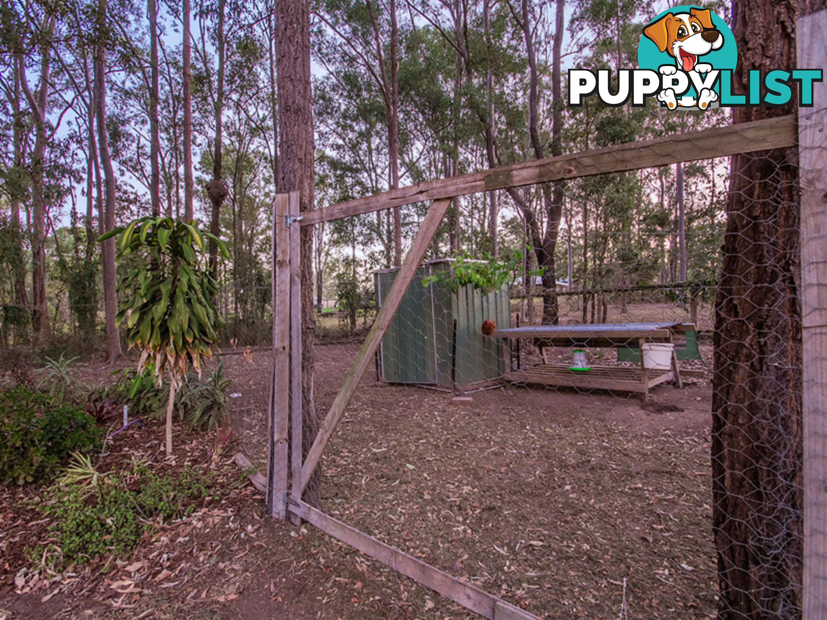 466A Junction Road Karalee QLD 4306