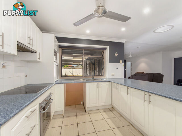 22 Toft Drive Raceview QLD 4305