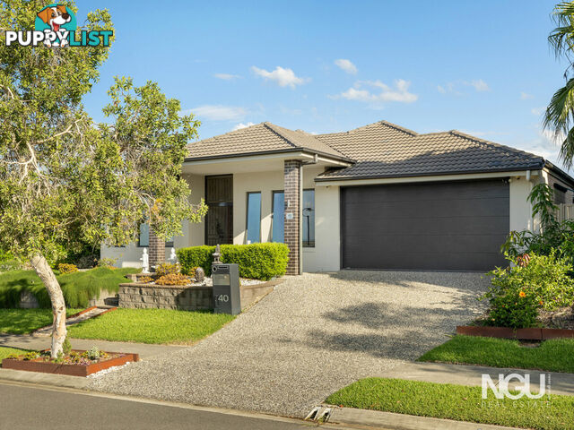 40 Grindelia Drive Springfield Lakes QLD 4300