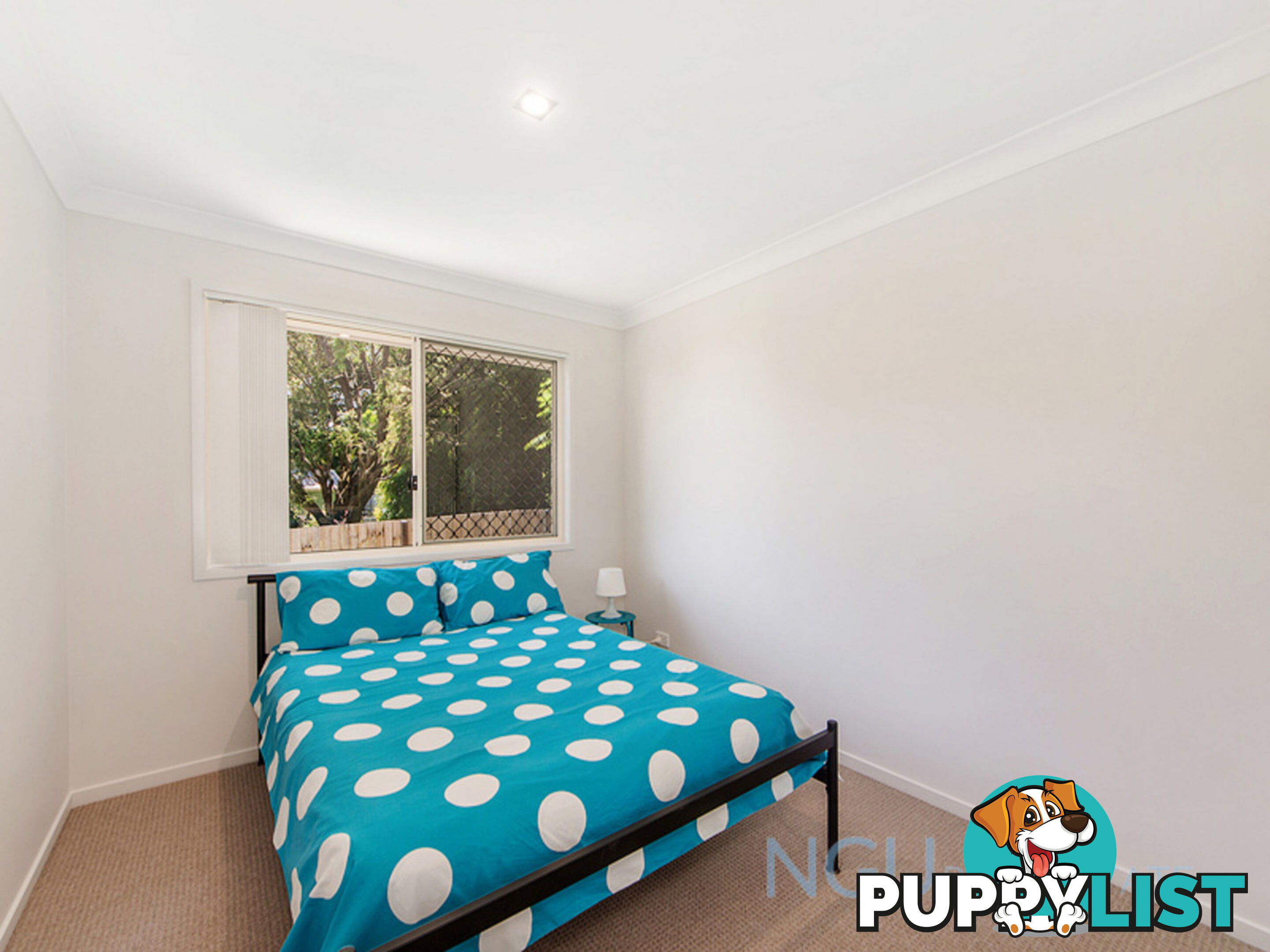 36A Frederick Street Newtown QLD 4305