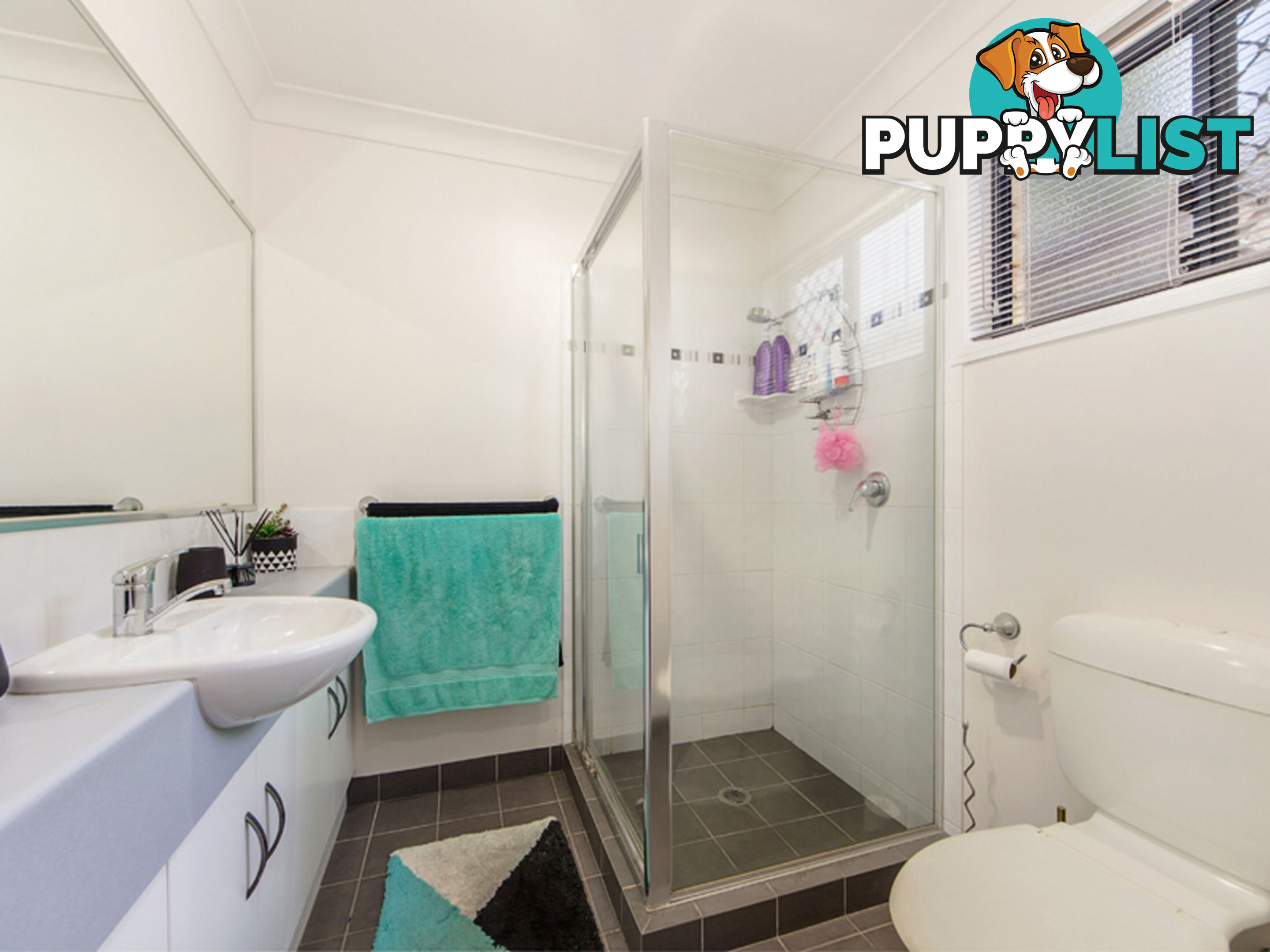 3 Calimon Court COALFALLS QLD 4305