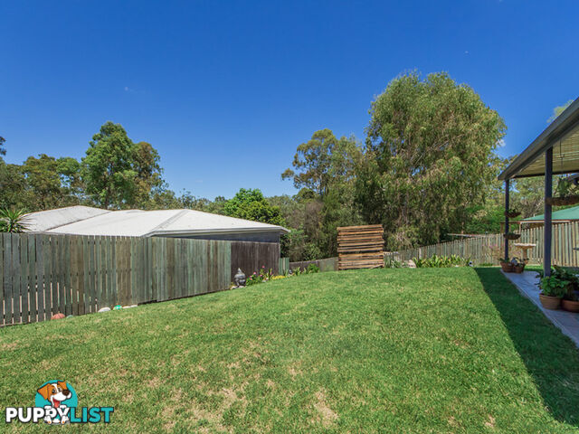 3 Calimon Court COALFALLS QLD 4305