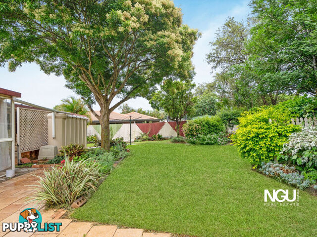 4 Jocelyn Court Raceview QLD 4305