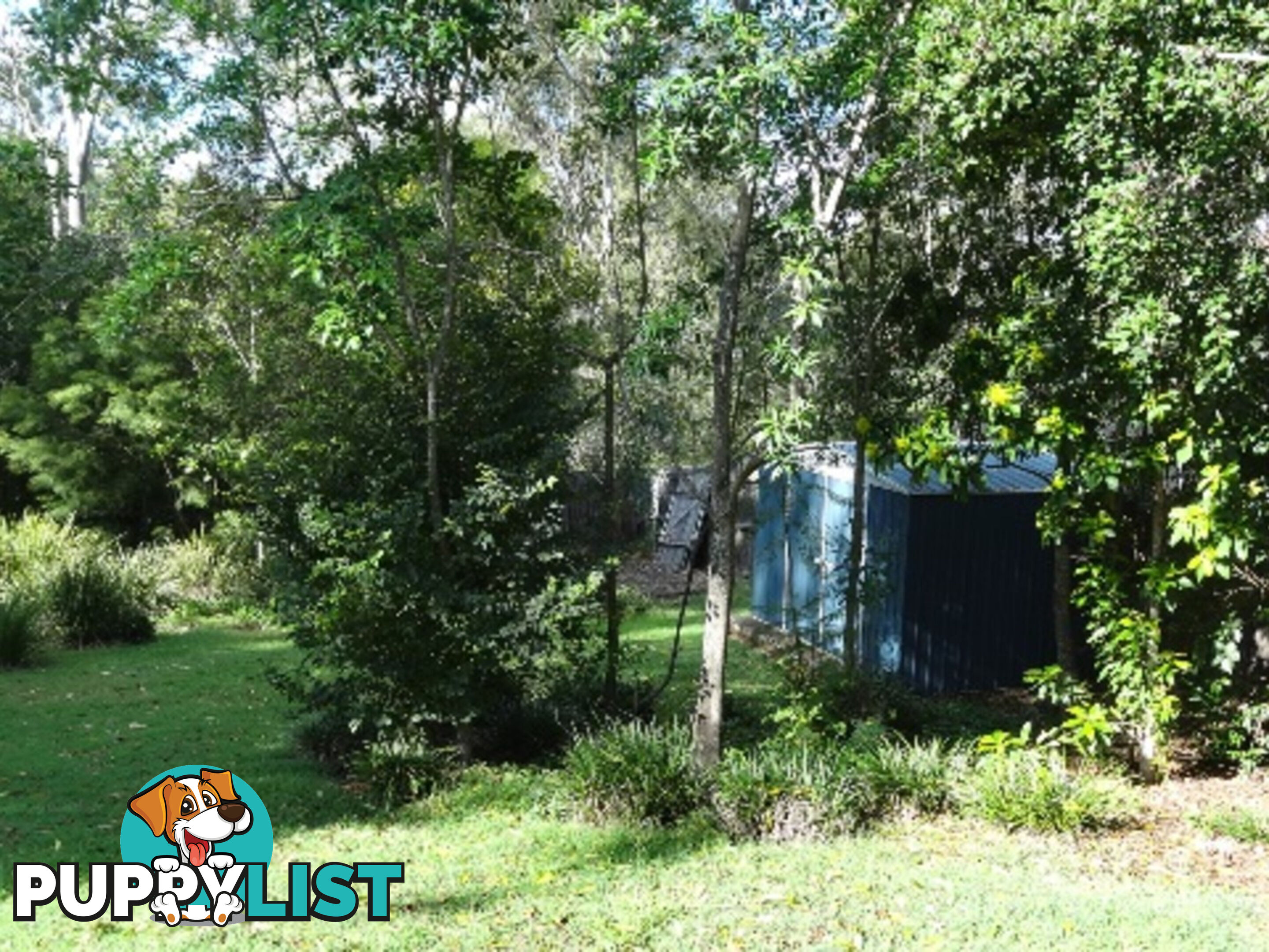 51 Palma Rosa Wulkuraka QLD 4305