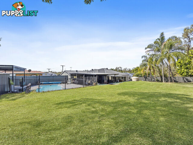 14 King Court Collingwood Park QLD 4301