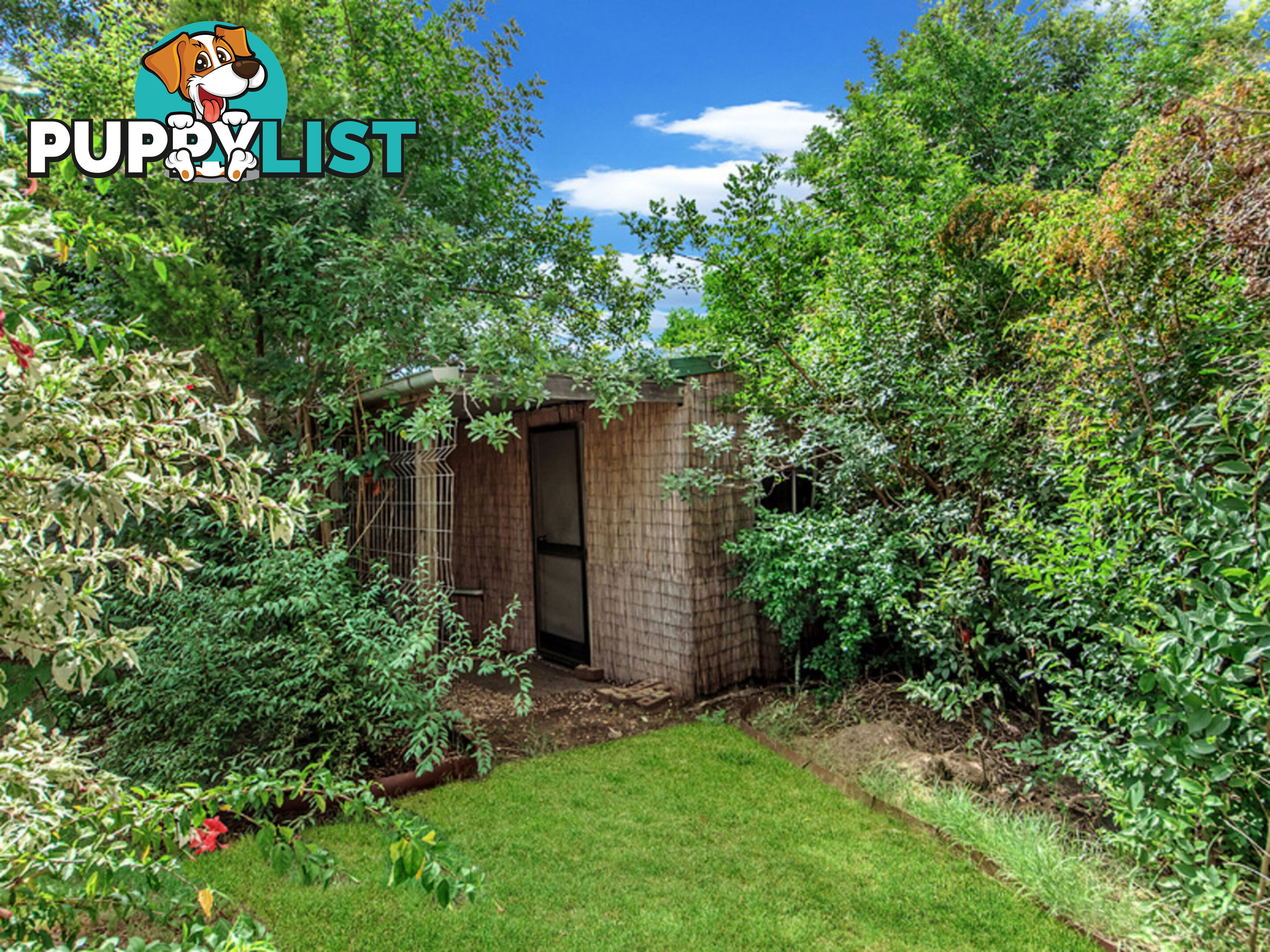 72 Reif Street Flinders View QLD 4305