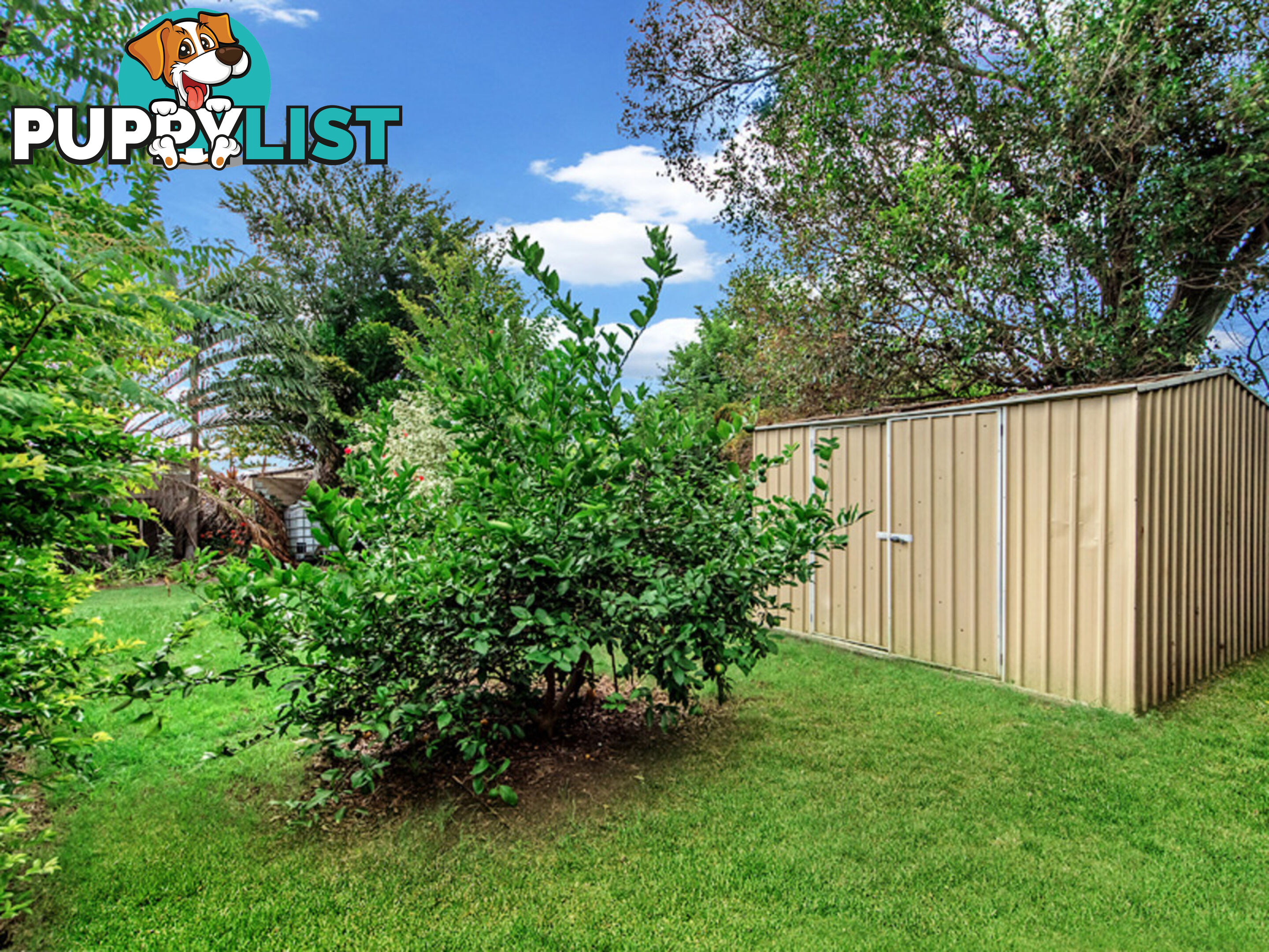 72 Reif Street Flinders View QLD 4305