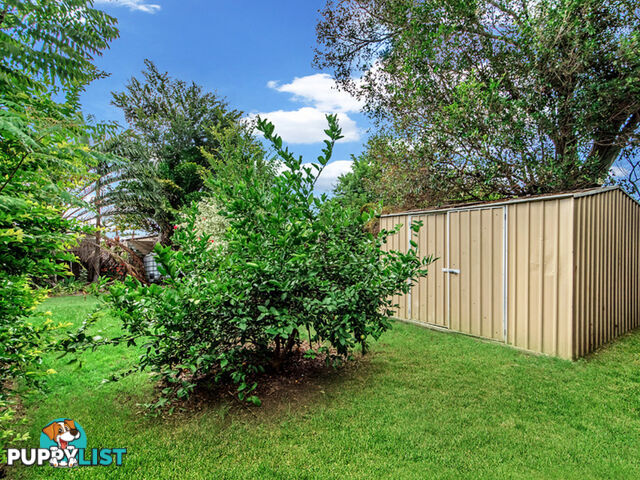 72 Reif Street Flinders View QLD 4305