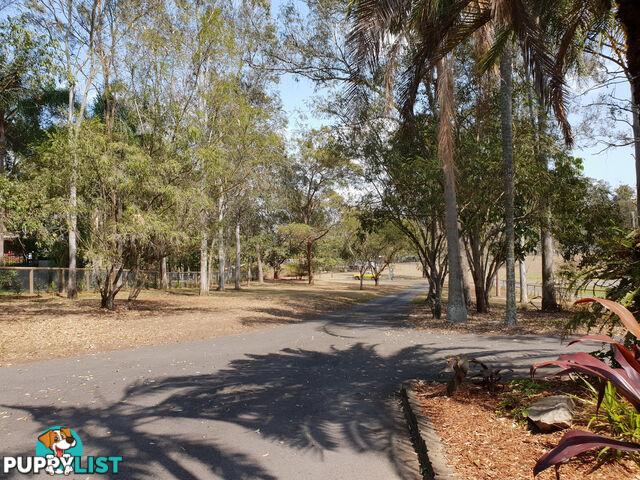 76 Leichhardt Crescent Barellan Point QLD 4306