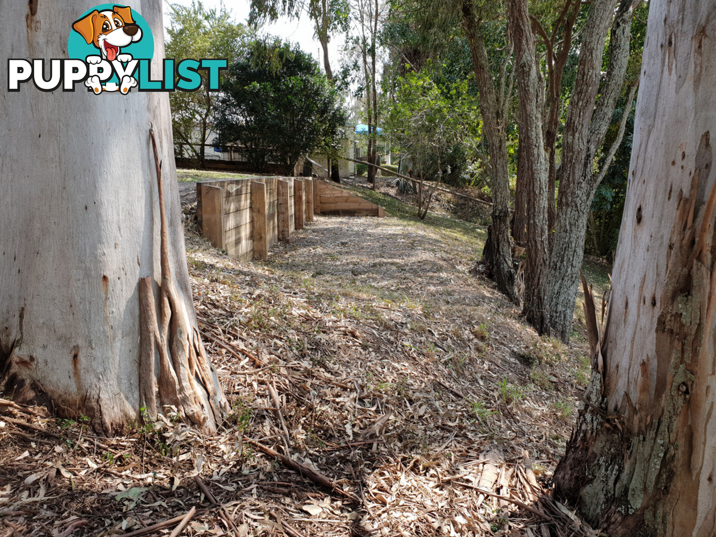 76 Leichhardt Crescent Barellan Point QLD 4306