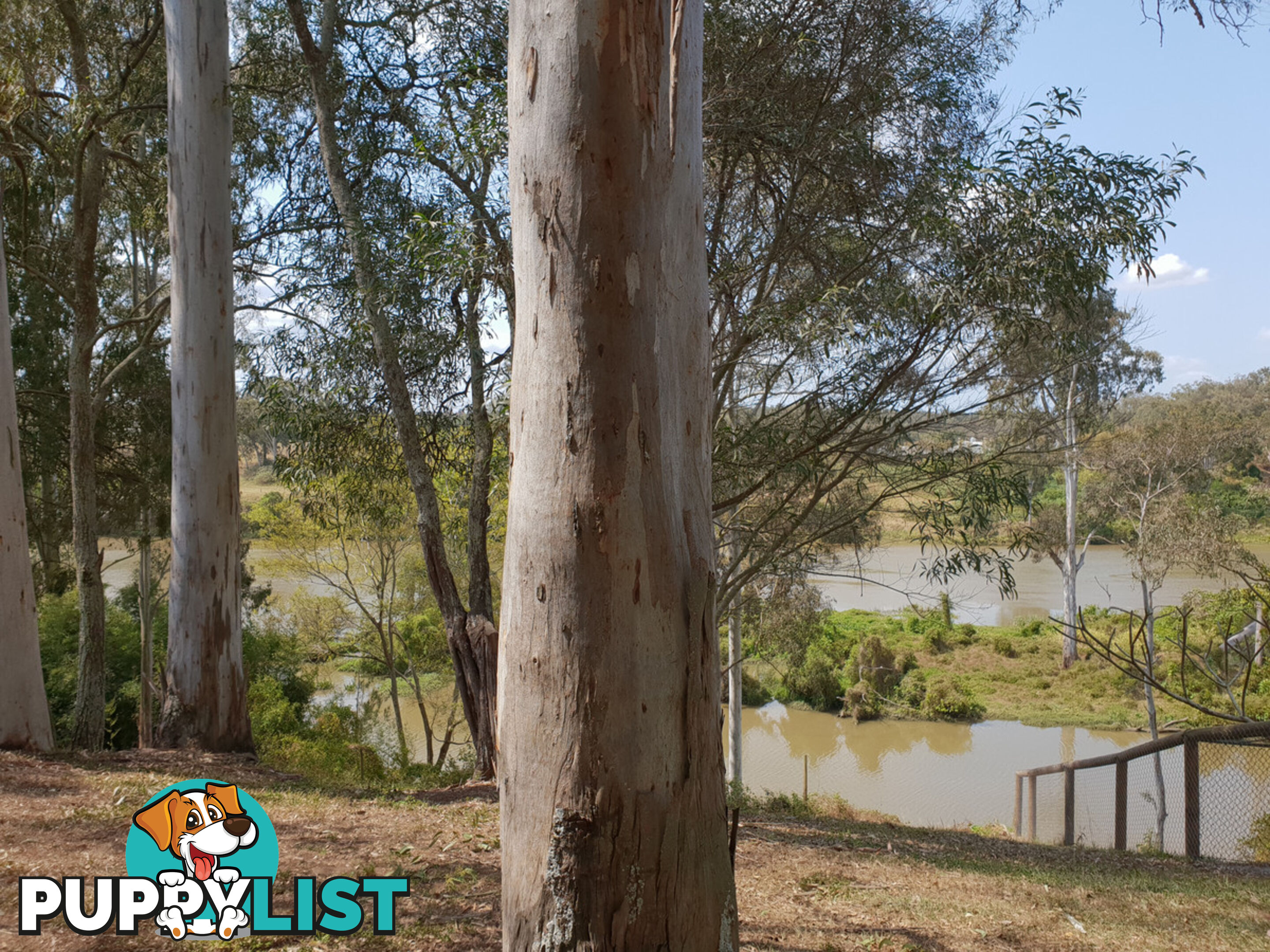 76 Leichhardt Crescent Barellan Point QLD 4306