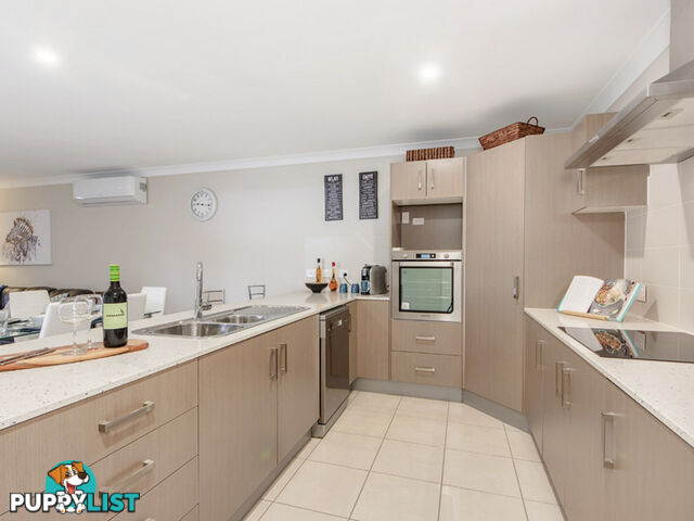 23 Hayes Street Raceview QLD 4305