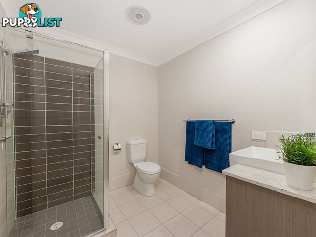 23 Hayes Street Raceview QLD 4305
