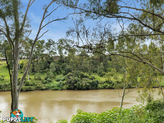 11 Wandoo Court Karana Downs QLD 4306