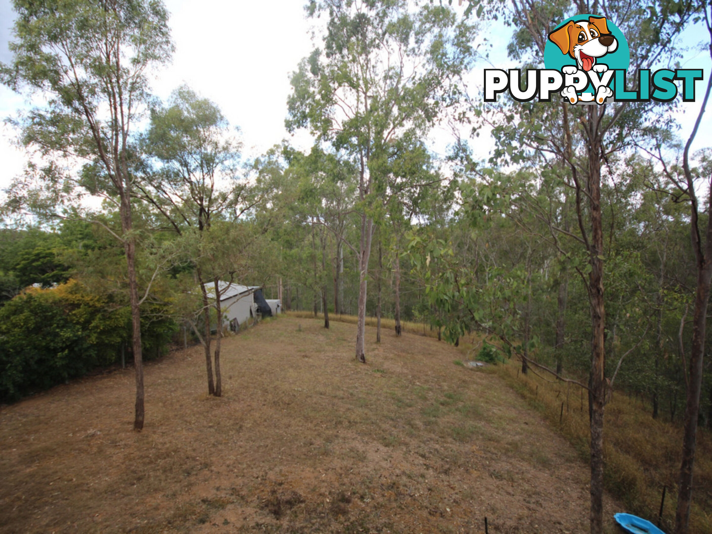 101 George Holt Drive Mount Crosby QLD 4306