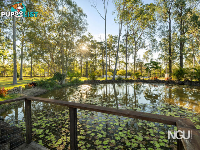 251-267 Ison Road Greenbank QLD 4124