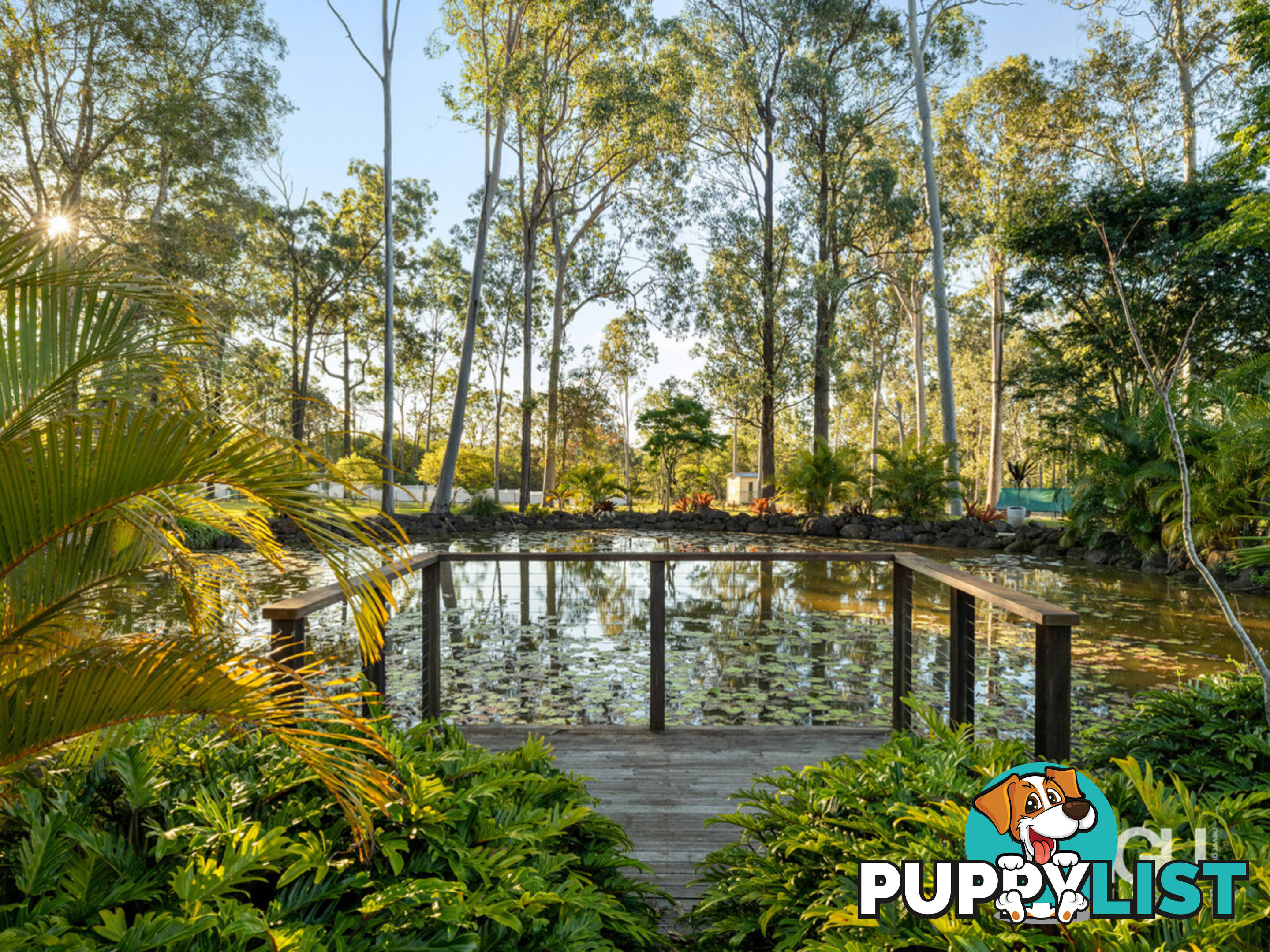 251-267 Ison Road Greenbank QLD 4124