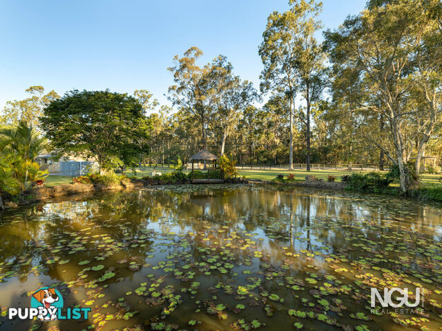 251-267 Ison Road Greenbank QLD 4124