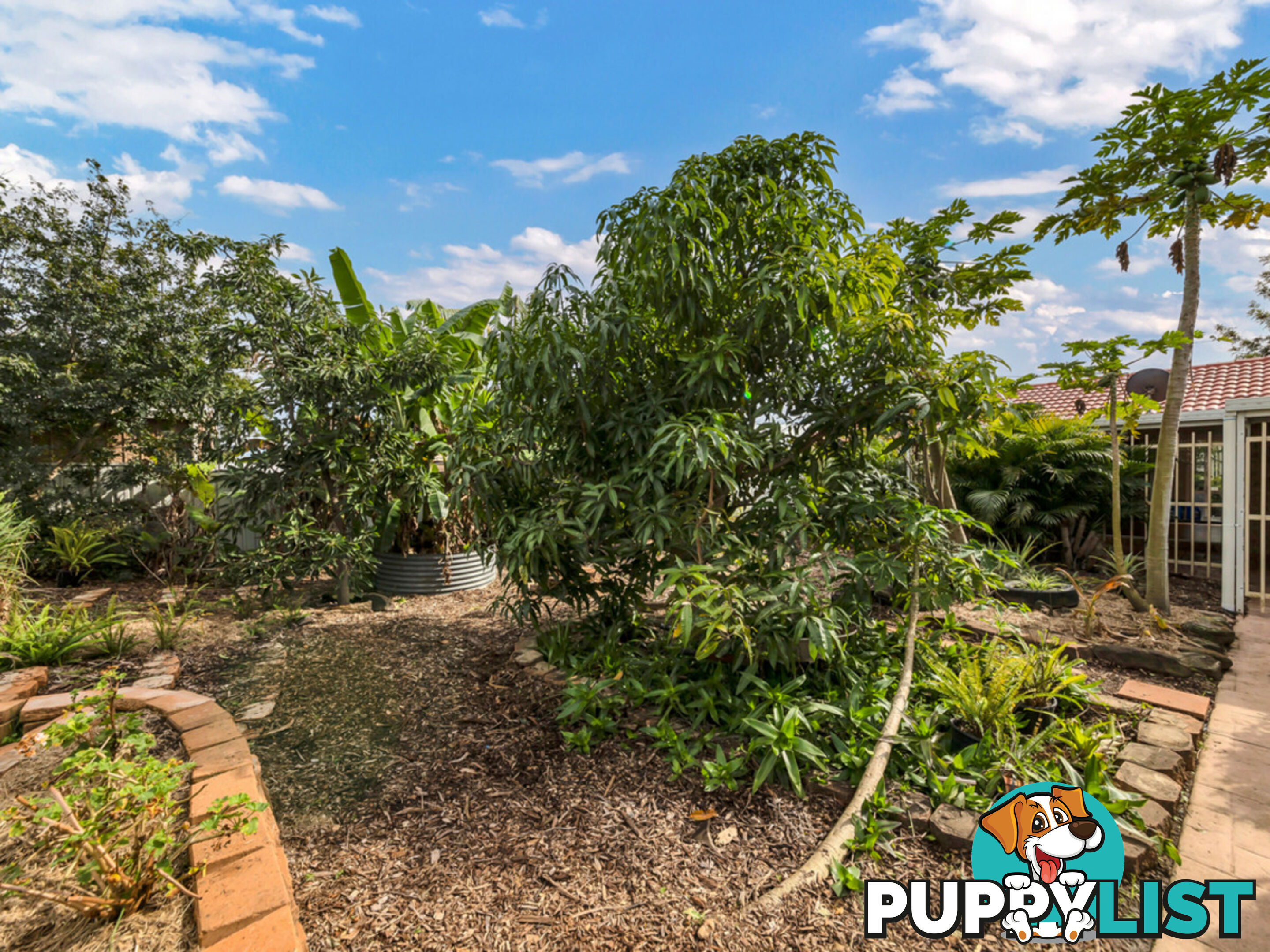 15 Kingston Way Raceview QLD 4305