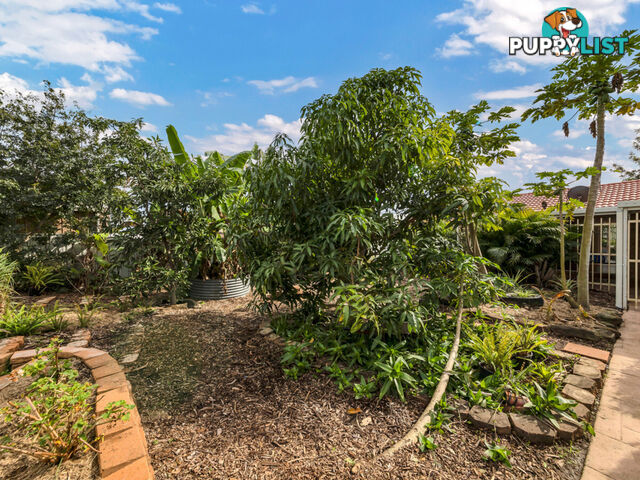 15 Kingston Way Raceview QLD 4305