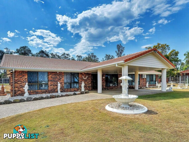 20 Jupiter Street Wulkuraka QLD 4305