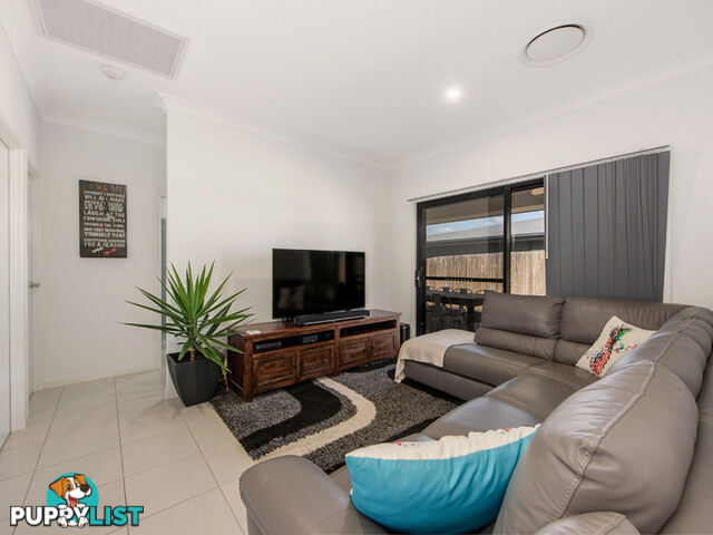 16 Serenity Street South Ripley QLD 4306