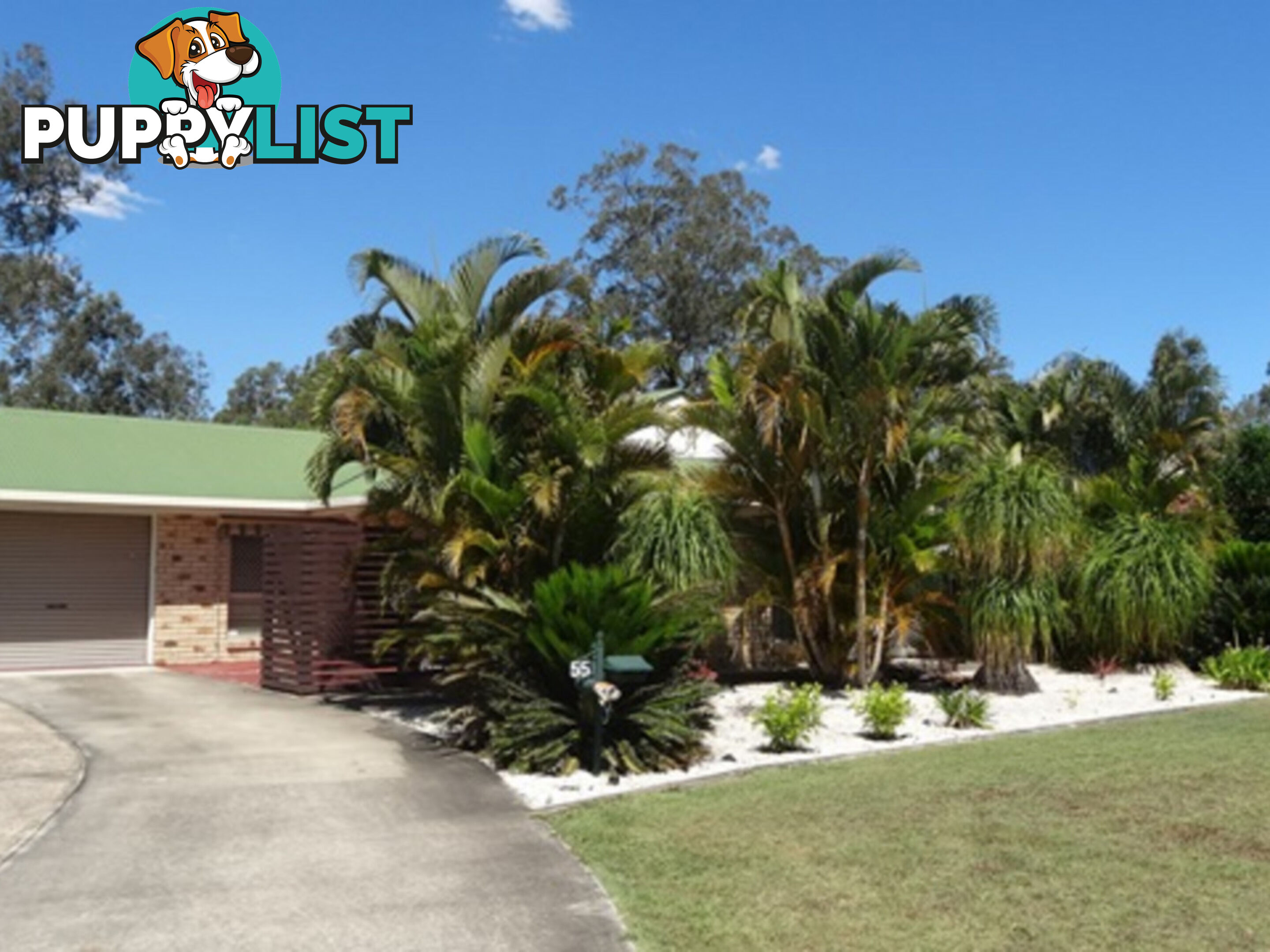 55 Caribou Drive BRASSALL QLD 4305