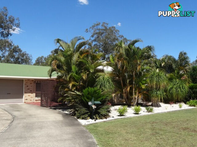 55 Caribou Drive BRASSALL QLD 4305