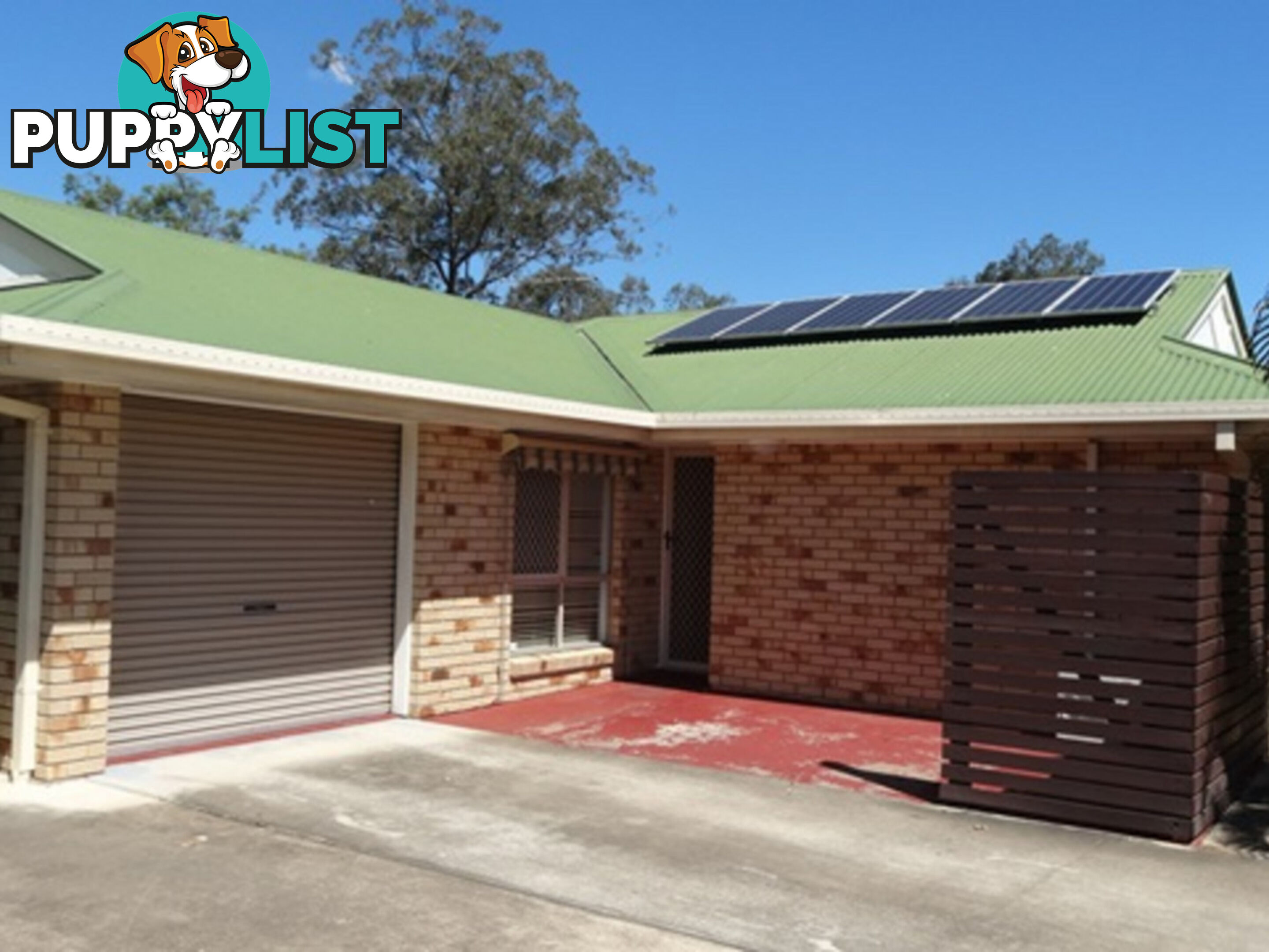 55 Caribou Drive BRASSALL QLD 4305