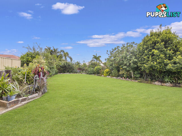 15 Willaroo Close Flinders View QLD 4305
