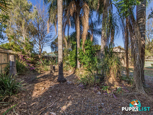 3 Wellington Street Brassall QLD 4305