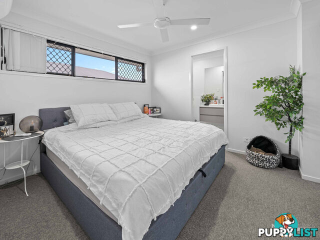 17b Lilium Street Ripley QLD 4306