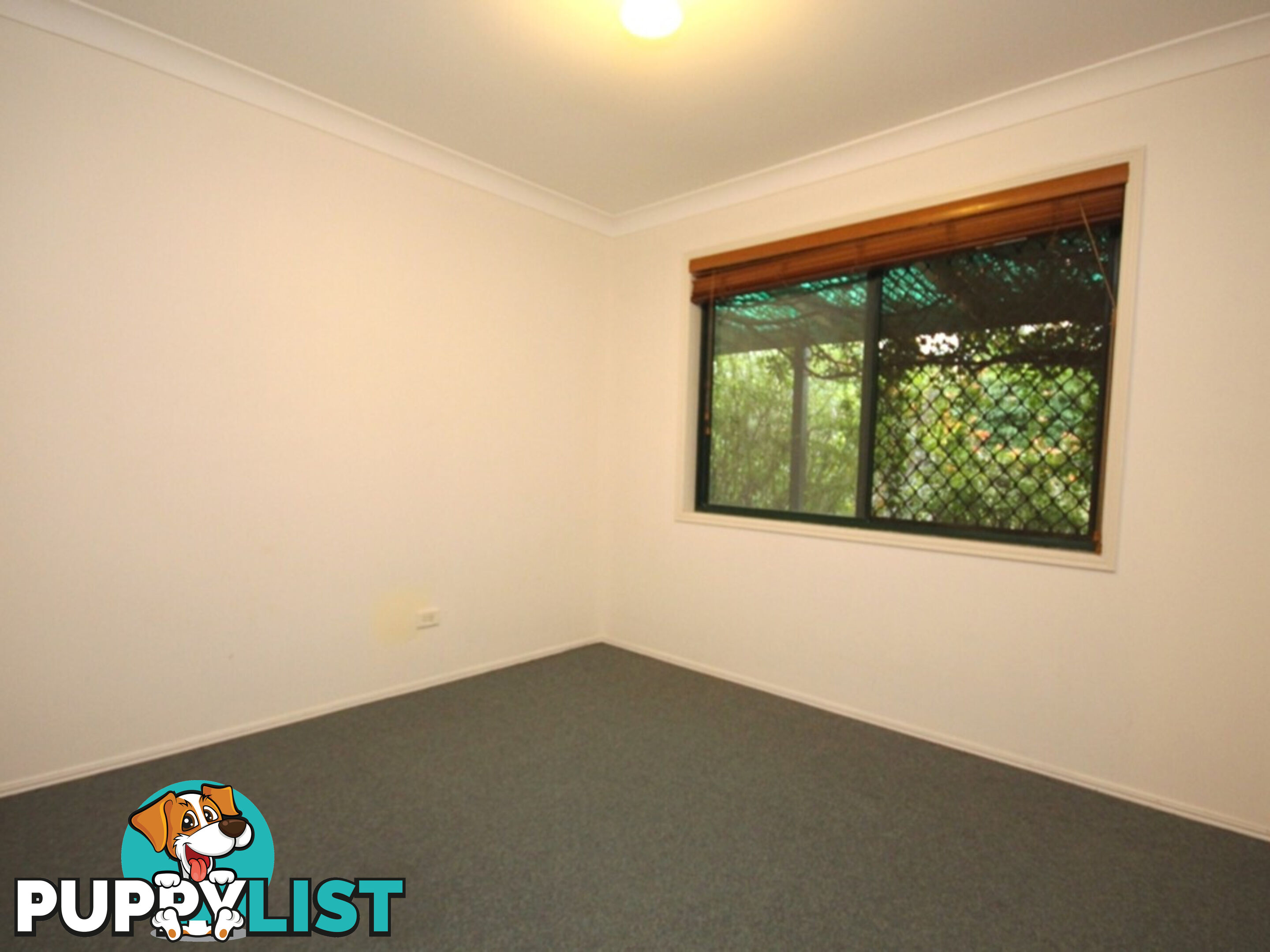 39 Elaine Street Karalee QLD 4306