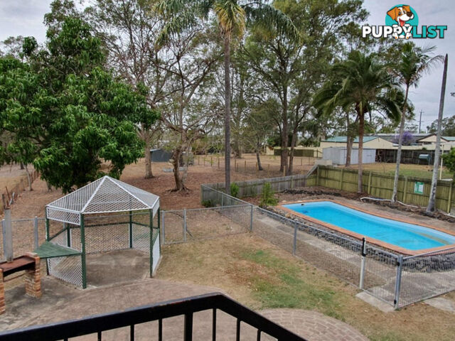 7 Huon Drive Karalee QLD 4306