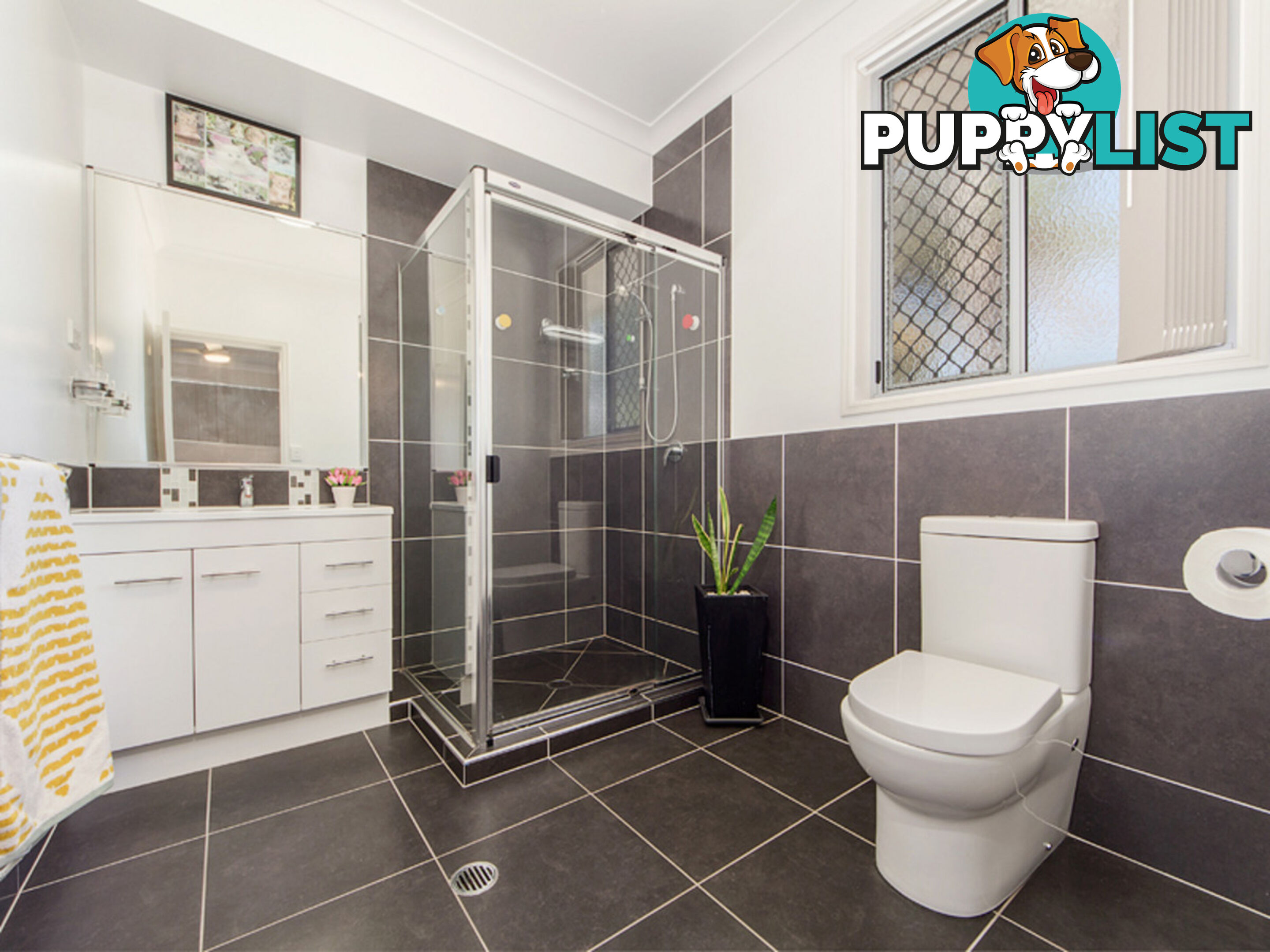 31 Pine Street Flinders View QLD 4305
