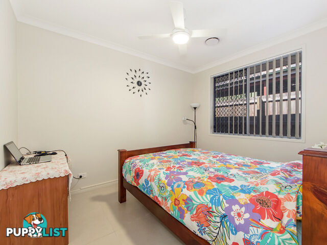 31 Pine Street Flinders View QLD 4305