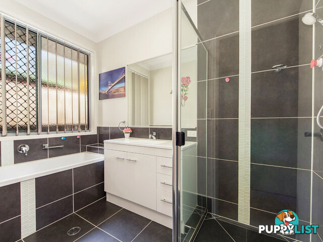 31 Pine Street Flinders View QLD 4305