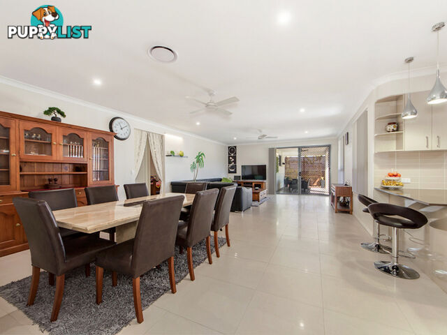 31 Pine Street Flinders View QLD 4305