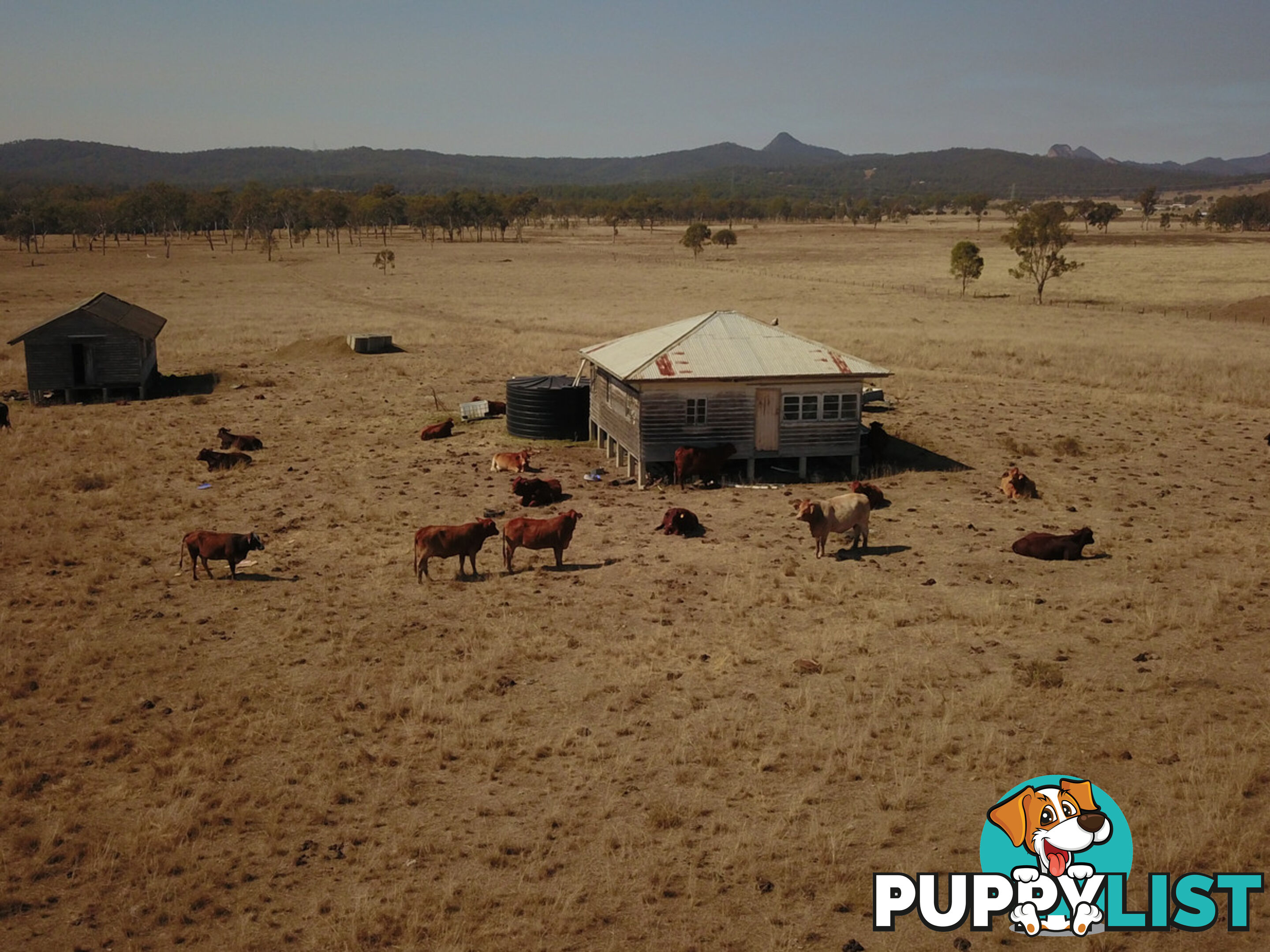 120-126 Morgans Road Purga QLD 4306