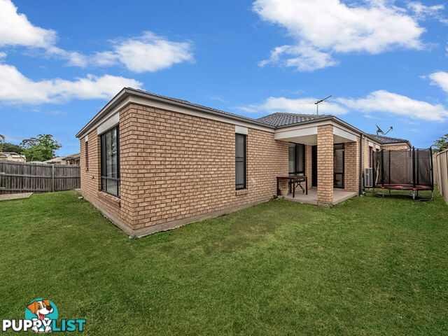 5 Sophie Street Raceview QLD 4305