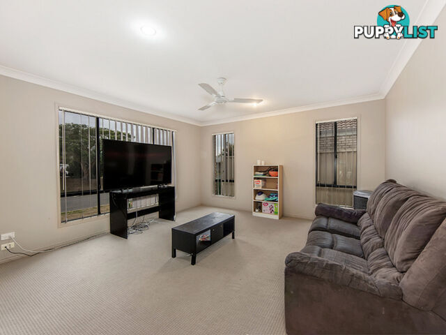 5 Sophie Street Raceview QLD 4305