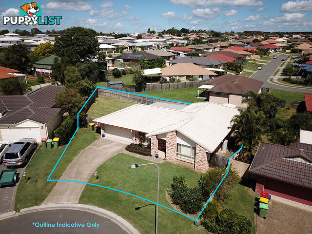 7 Karen Court Raceview QLD 4305