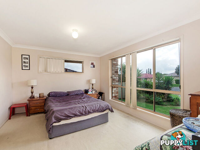 7 Karen Court Raceview QLD 4305