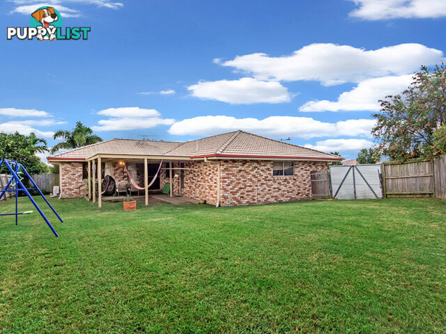 7 Karen Court Raceview QLD 4305