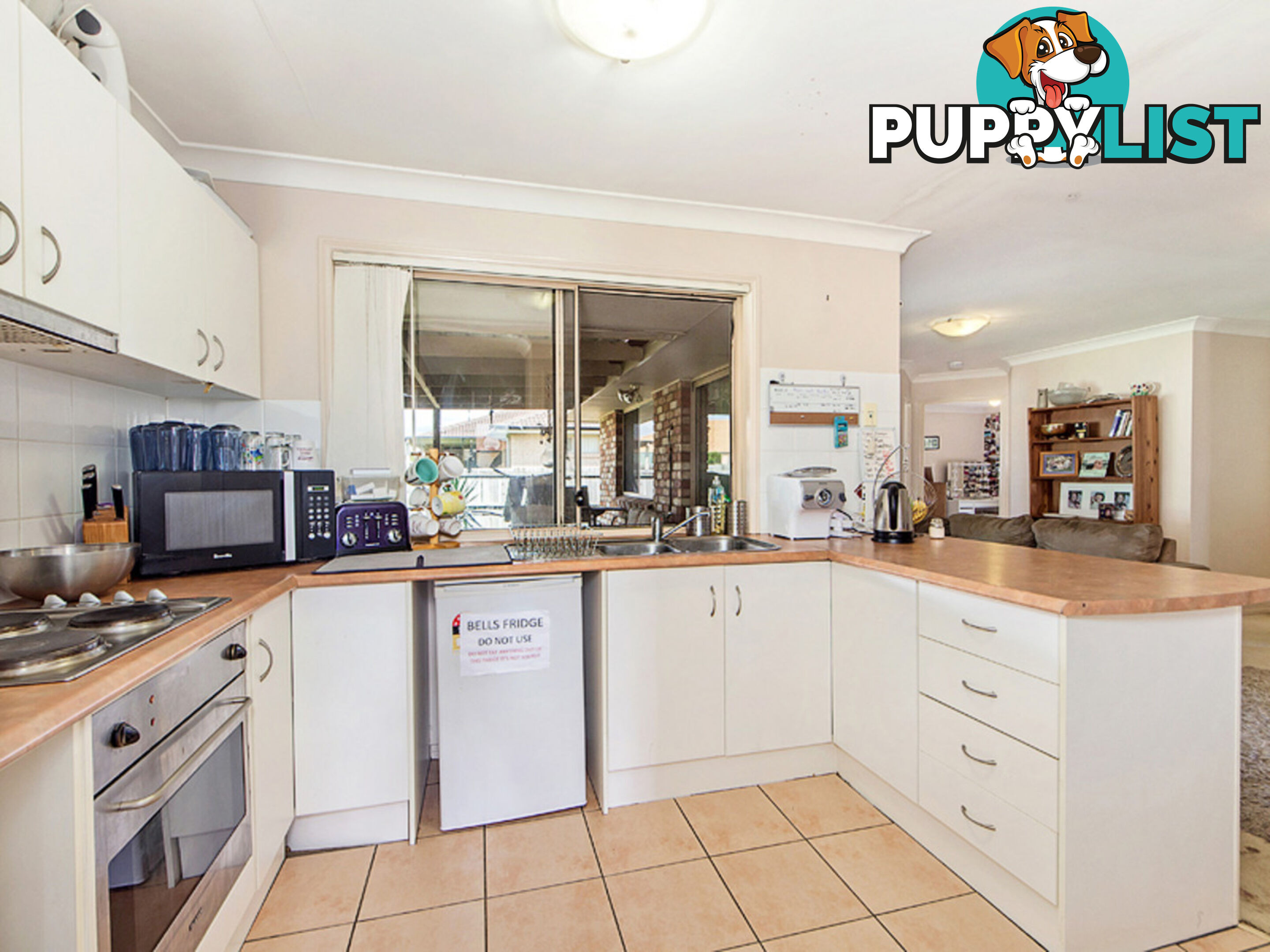 7 Karen Court Raceview QLD 4305